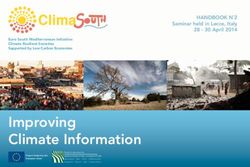IMPROVING CLIMATE INFORMATION - CLIMASOUTH