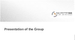 Presentation of the Group - Salzgitter AG