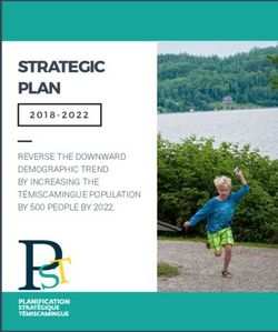 STRATEGIC PLAN REVERSE THE DOWNWARD DEMOGRAPHIC TREND BY INCREASING THE TÉMISCAMINGUE POPULATION BY 500 PEOPLE BY 2022.