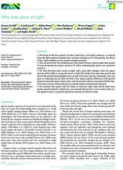 Why trees grow at night - Research - DORA 4RI