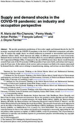 Supply and demand shocks in the COVID-19 pandemic: an industry and occupation perspective