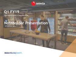 Q1 FY19 Noteholder Presentation - Selecta
