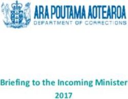 Briefing to the Incoming Minister 2017 - Beehive.govt.nz