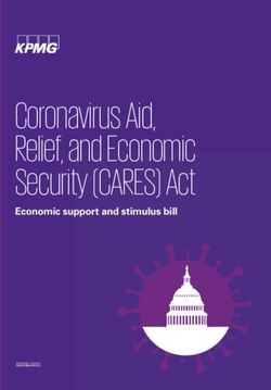 Coronavirus Aid, Relief, and Economic Security (CARES) Act - Economic support and stimulus bill