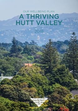A THRIVING HUTT VALLEY - 2018 OUR WELLBEING PLAN: Hutt Valley District Health Board