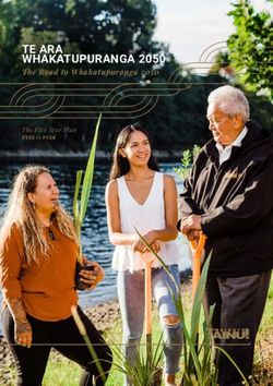 TE ARA WHAKATUPURANGA 2050 - The Road to Whakatupuranga 2050 The Five Year Plan - Waikato Tainui