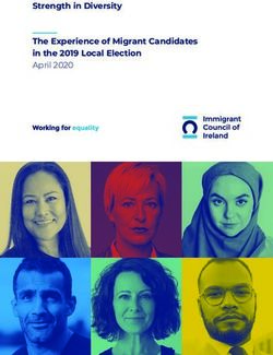 Strength in Diversity The Experience of Migrant Candidates in the 2019 Local Election - April 2020