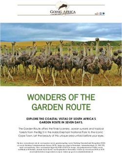 WONDERS OF THE GARDEN ROUTE - EXPLORE THE COASTAL VISTAS OF SOUTH AFRICA'S GARDEN ROUTE IN SEVEN DAYS - Going Africa Safaris