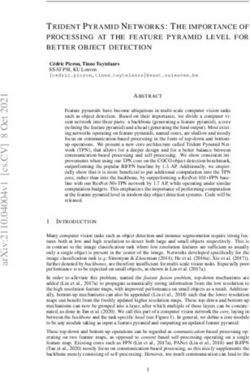 TRIDENT PYRAMID NETWORKS: THE IMPORTANCE OF PROCESSING AT THE FEATURE PYRAMID LEVEL FOR BETTER OBJECT DETECTION