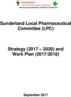 Sunderland Local Pharmaceutical Committee (LPC) Strategy (2017 - 2020) and Work Plan (2017/2018) - September 2017 - PSNC