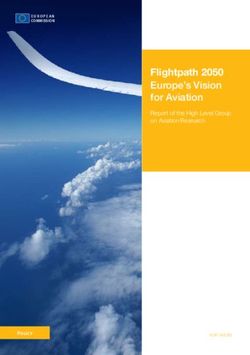 Flightpath 2050 Europe's Vision for Aviation - Report of the High Level Group on Aviation Research
