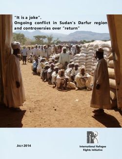 "It is a joke". Ongoing conflict in Sudan's Darfur region and controversies over "return" - JULY 2014