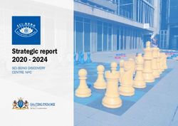 Strategic report 2020 2024 - SCI-BONO DISCOVERY CENTRE NPC