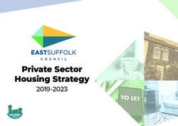 Private Sector Housing Strategy - 2019-2023 HOUSING
