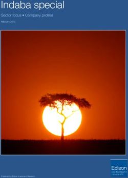 Indaba special Sector focus Company profiles - Edison Investment Research