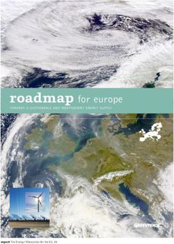 Roadmap for europe - Greenpeace