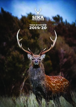 2019/20 YEAR IN REVIEW - Central North Island Sika ...