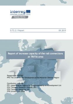 Report of increase capacity of the rail connections at TRITIA area
