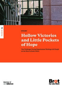Hollow Victories and Little Pockets of Hope - STUDY The Challenges Facing Organisations Working with People on the Move in South Africa - Brot ...
