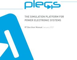 THE SIMULATION PLATFORM FOR POWER ELECTRONIC SYSTEMS - RT Box User Manual January 2021 - Plexim