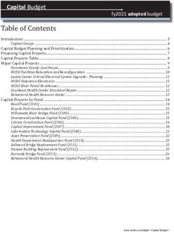 Capital Projects by Fund ...