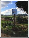 LASPEH "Low Adriatic SPEcies and Habitat" D.T1.3.1 Concrete actions for habitat - LP "Natural Regional Park of Coastal Dunes from Torre Canne to ...