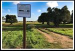 LASPEH "Low Adriatic SPEcies and Habitat" D.T1.3.1 Concrete actions for habitat - LP "Natural Regional Park of Coastal Dunes from Torre Canne to ...