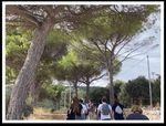 LASPEH "Low Adriatic SPEcies and Habitat" D.T1.3.1 Concrete actions for habitat - LP "Natural Regional Park of Coastal Dunes from Torre Canne to ...