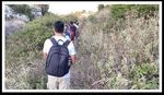 LASPEH "Low Adriatic SPEcies and Habitat" D.T1.3.1 Concrete actions for habitat - LP "Natural Regional Park of Coastal Dunes from Torre Canne to ...