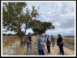 LASPEH "Low Adriatic SPEcies and Habitat" D.T1.3.1 Concrete actions for habitat - LP "Natural Regional Park of Coastal Dunes from Torre Canne to ...