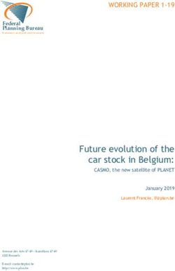 Future evolution of the car stock in Belgium: Federaal ...