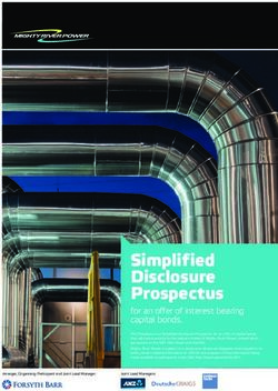 Simplified Disclosure Prospectus - for an offer of interest bearing capital bonds - Chris Lee & Partners Ltd