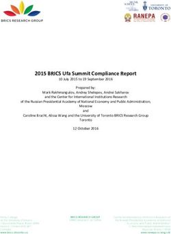 2015 BRICS Ufa Summit Compliance Report