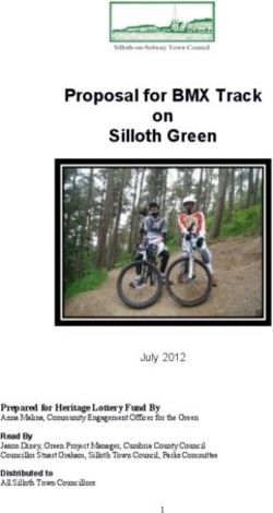 Proposal for BMX Track on Silloth Green