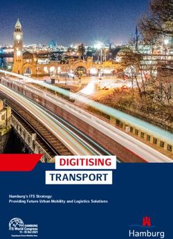 DIGITISING TRANSPORT Hamburg's ITS Strategy: Providing Future Urban Mobility and Logistics Solutions - ITS world congress