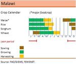 Rapid Geospatial Agriculture and Livelihood Impact Analysis of Moderate Tropical Storm Ana in Malawi