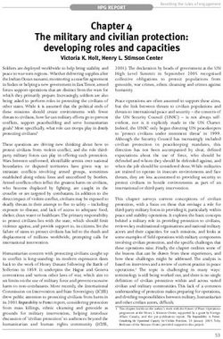 The military and civilian protection: developing roles and capacities