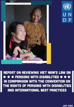 REPORT ON REVIEWING VIET NAM'S LAW ON PERSONS WITH DISABILITIES IN COMPARISON WITH THE CONVENTION ON THE RIGHTS OF PERSONS WITH DISABILITIES AND ...