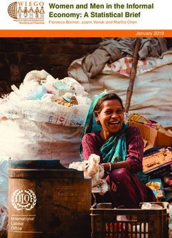 Women and Men in the Informal Economy: A Statistical Brief - Florence Bonnet, Joann Vanek and Martha Chen - WIEGO