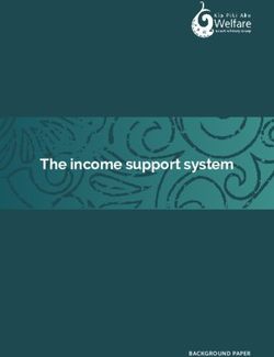 The income support system - BACKGROUND PAPER - Welfare Expert Advisory Group