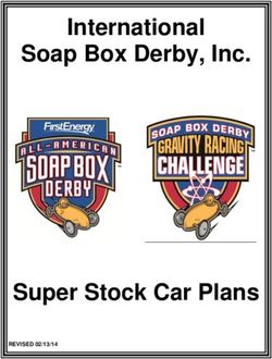 international soap box derby