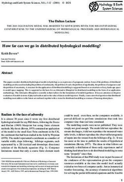 How far can we go in distributed hydrological modelling?