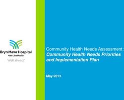 Community Health Needs Assessment: Community Health Needs Priorities and Implementation Plan