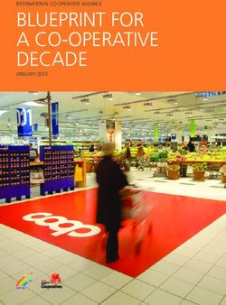 BLUEPRINT FOR A CO-OPERATIVE DECADE - INTERNATIONAL CO-OPERATIVE ALLIANCE JANUARY 2013 - INTERNATIONAL ...