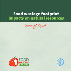 Food wastage footprint Impacts on natural resources