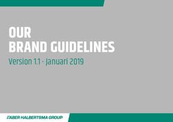 OUR BRAND GUIDELINES Version 1.1 - Januari 2019 - Faber Halbertsma Group