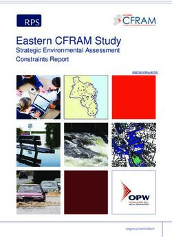 Eastern CFRAM Study Strategic Environmental Assessment Constraints Report - IBE0600Rp0035