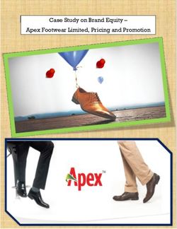 Case Study on Brand Equity - Apex Footwear Limited, Pricing and Promotion