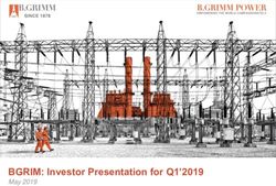 BGRIM: Investor Presentation for Q1'2019 - Investor Relations