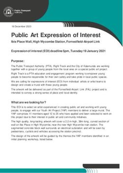 Public Art Expression of Interest - Ibis Place Wall, High Wycombe Station, Forrestfield-Airport Link Expression of interest (EOI) deadline 5pm ...